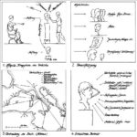 Kopiertechnik. Schema nach M. Pfanner